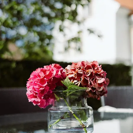 - House By The River